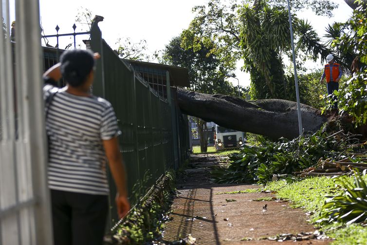 Chuva alaga principais vias e provoca estragos no Distrito Federal