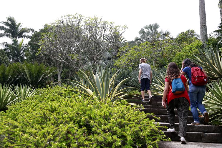 O Sítio Roberto Burle Marx, em Barra de Guaratiba, na zona oeste do Rio de Janeiro, se prepara para a nova fase da candidatura do local a Patrimônio Mundial pela Unesco.